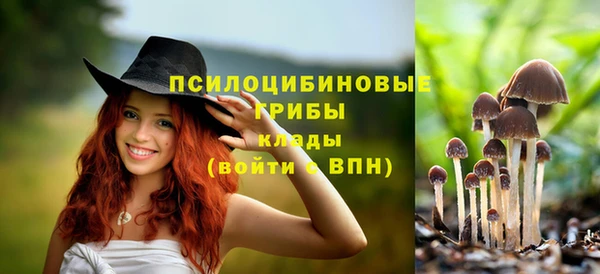 ALPHA-PVP Алзамай
