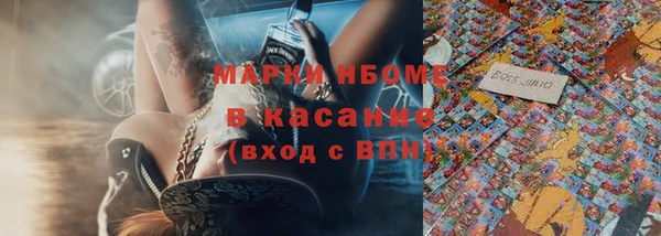индика Лабытнанги