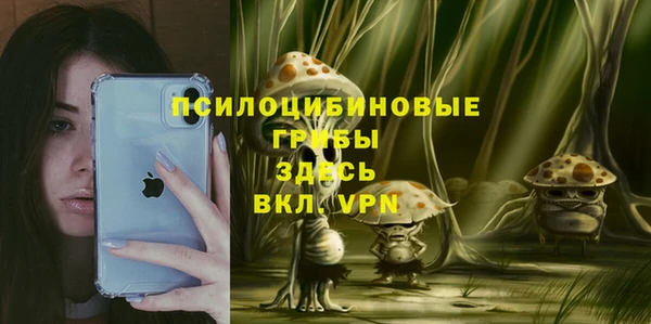 а пвп мука Алексеевка