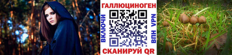 Галлюциногенные грибы мухоморы  Юрьевец 